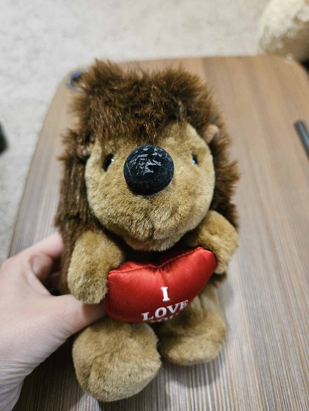 Cuddly Hedgehog Plush with Heart